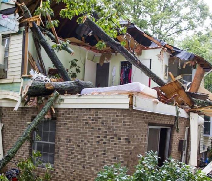 trees and storm damage over house
