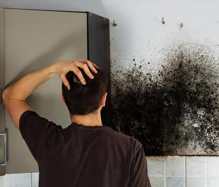 man with hand on head looks at black mold